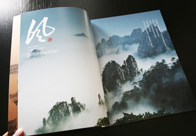 畫冊設(shè)計，標志設(shè)計，VI設(shè)計，交互設(shè)計，包裝設(shè)計，空間導(dǎo)示，數(shù)志視頻，廣告創(chuàng)意設(shè)計，博納設(shè)計