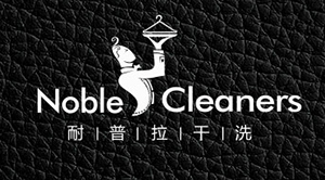 耐普拉干洗——標(biāo)志設(shè)計