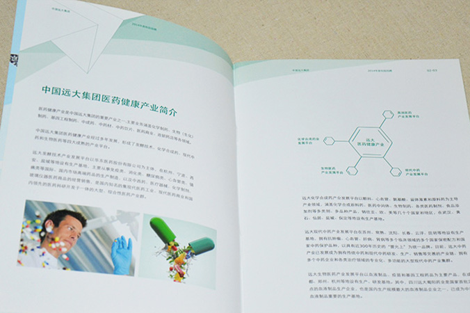 中國遠大集團 畫冊設(shè)計 宣傳冊設(shè)計 北京彩頁設(shè)計 logo設(shè)計 商標(biāo)設(shè)計 標(biāo)志設(shè)計 企業(yè)logo設(shè)計 VI設(shè)計 VI設(shè)計公司 品牌設(shè)計 品牌設(shè)計公司